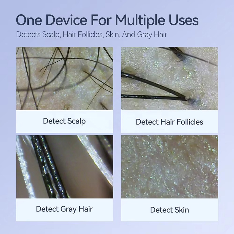 Nuevo Detector de cuero cabell - Hair Porosity Test reseña y precio